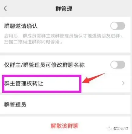 微信群怎么转让群主（微信群主怎么转让不了）