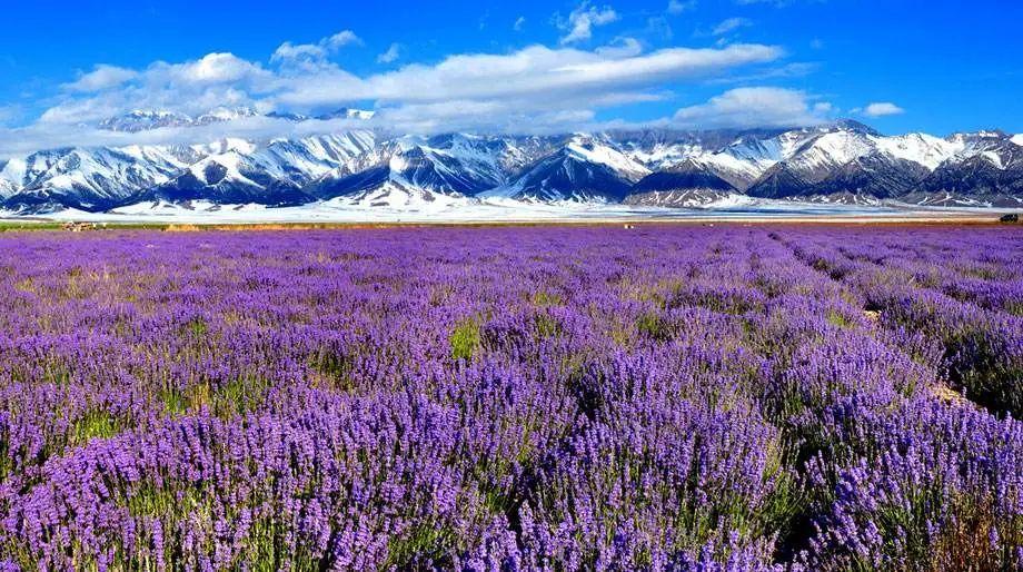 结婚旅游度蜜月去哪好，国内最有情调的10大浪漫旅行地