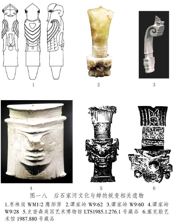 羽化是什么意思(图片羽化是什么意思)