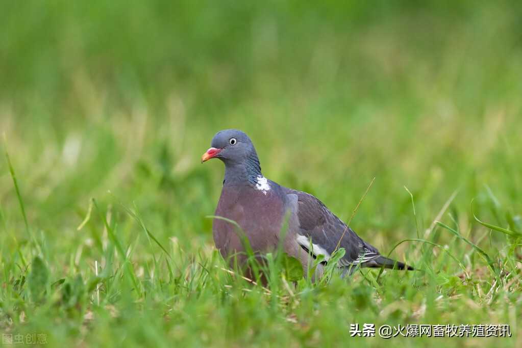 去哪里好玩(现在到哪里去旅游最好)