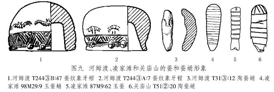 羽化是什么意思(图片羽化是什么意思)