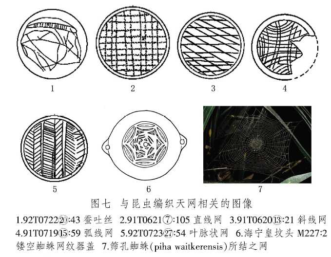 羽化是什么意思(图片羽化是什么意思)